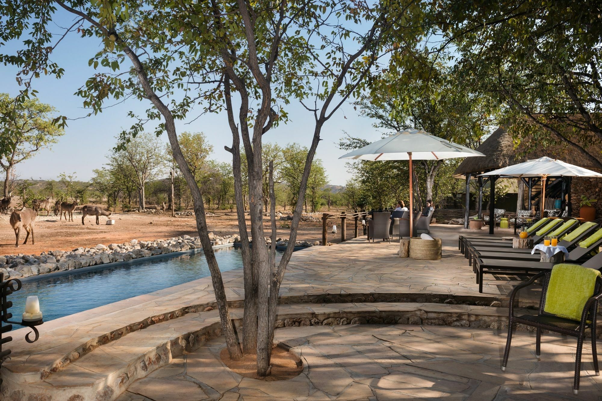 Ongava Tented Camp - All-Inclusive Okaukuejo Eksteriør billede